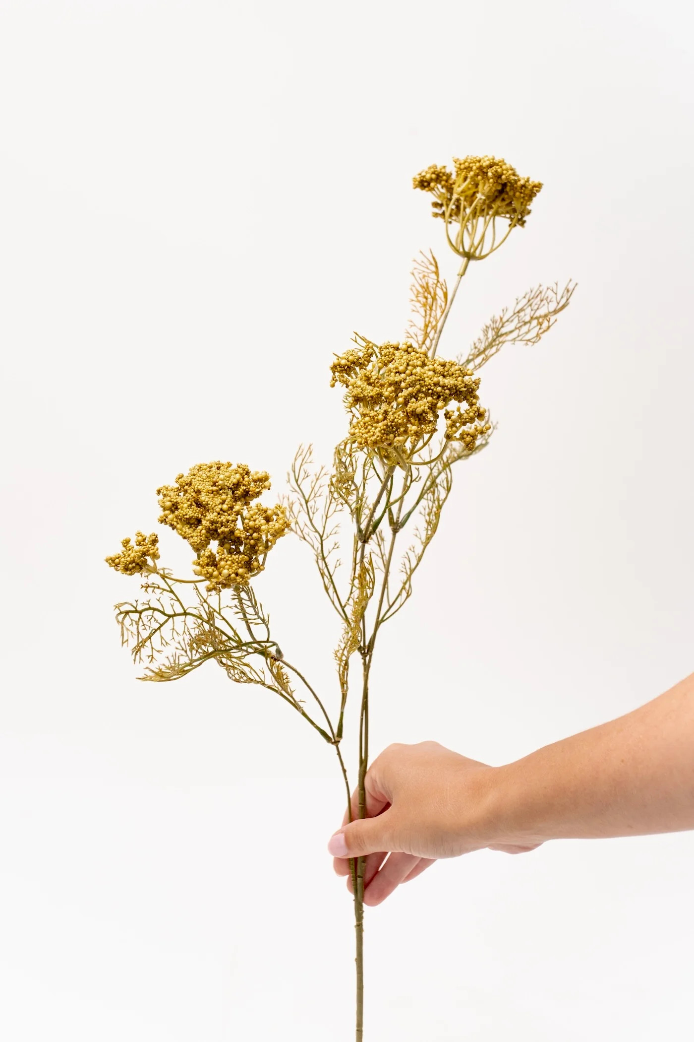 Saffron Queen Anne's Lace Spray - 28" | THELIFESTYLEDCO