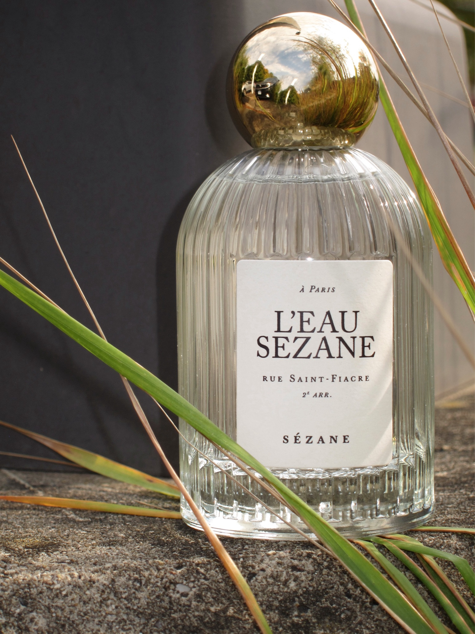 New Signature Scent | L’Eau Sézane 
Top notes: Essence of Italian Mandarin, Essence of Italian Lemon, Essence of Petit grain Bigarade
Middle notes: Neroli, Water Jasmine, Peony
Base notes: White Musk

#LTKBeauty #LTKGiftGuide #LTKHoliday