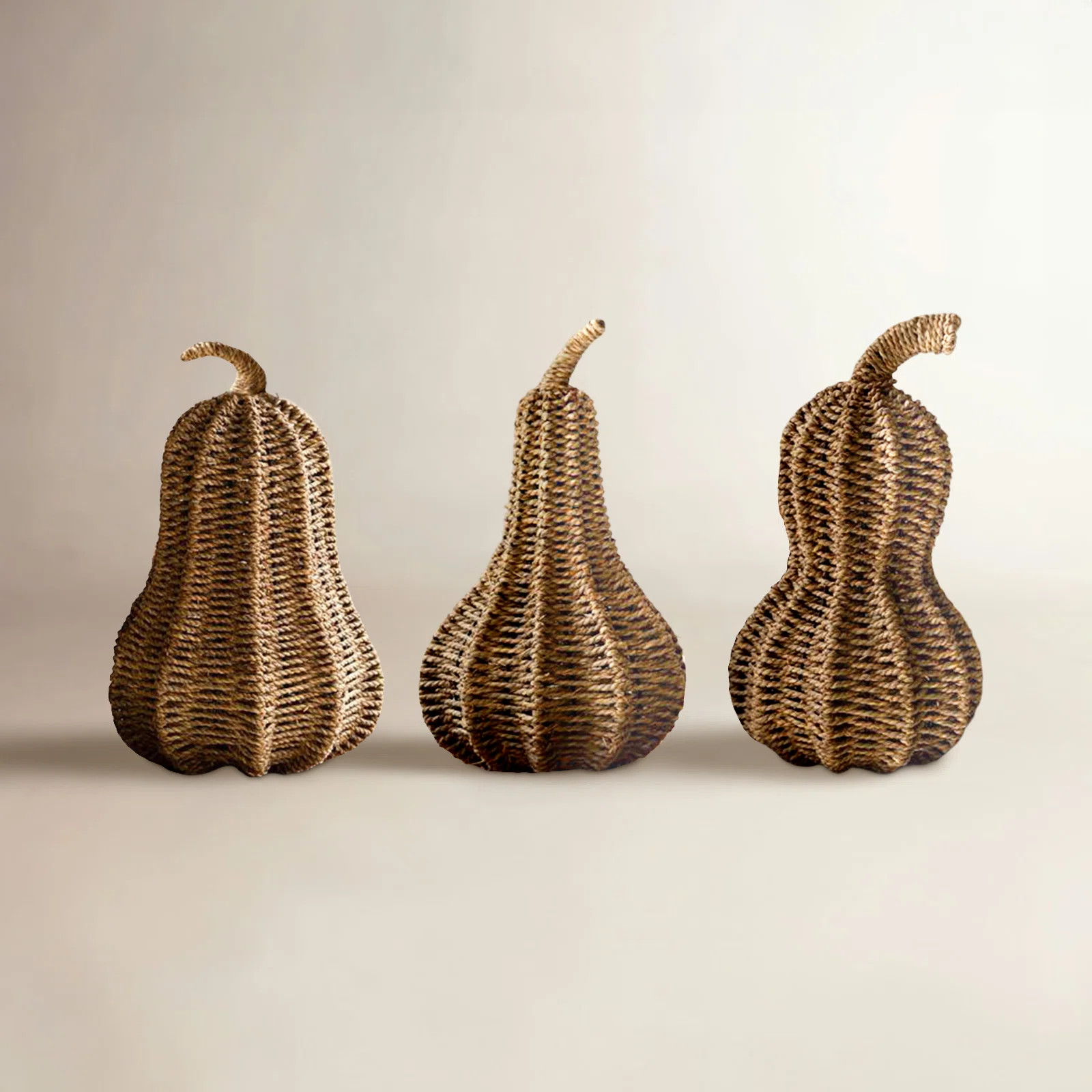 Birch Lane™ 3-Piece Woven Vine Gourd Holiday Decor Set | Joss & Main | Joss & Main