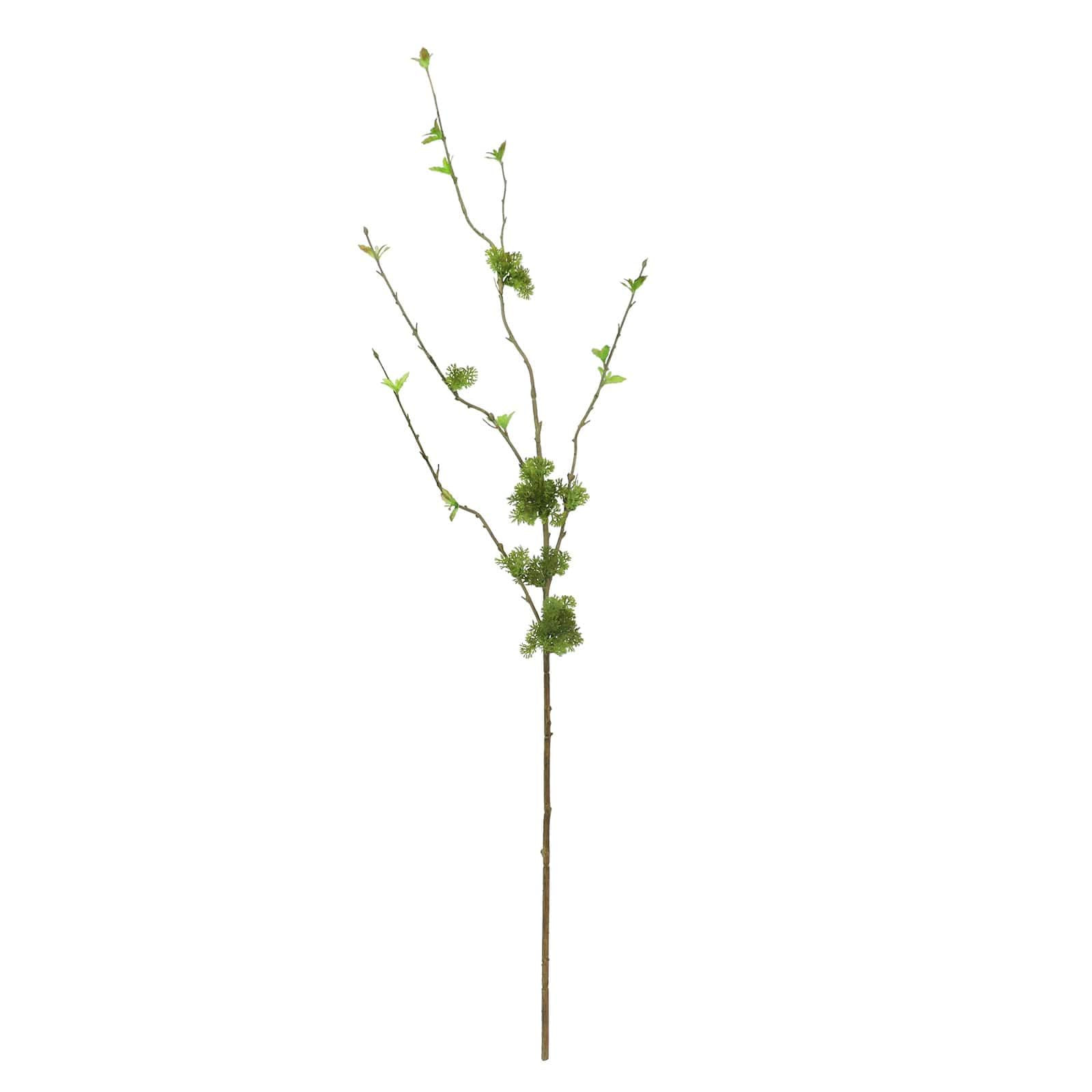 36" Twig with Green Moss Stem by Ashland® - Spring Floral and Greenery | Amazon (US)