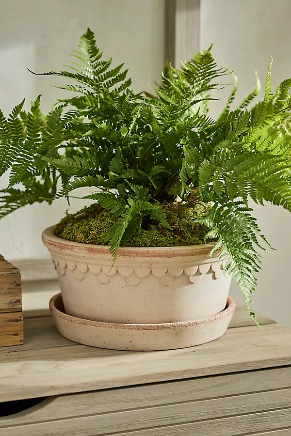 Bergs Copenhagen Terracotta Bowl + Saucer Set | Terrain