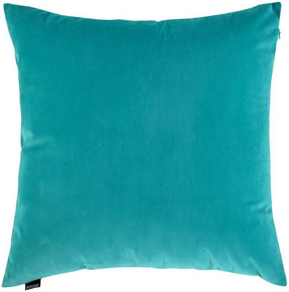 Artcest Cozy Solid Velvet Throw Pillow Case, Decorative Couch Cushion Cover, Soft Sofa Euro Sham with Zipper Hidden, 24"x24" (Light Teal) | Amazon (US)