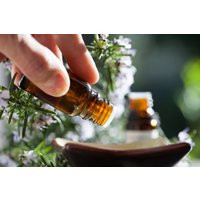 Lavender Essential Oil | Etsy (US)