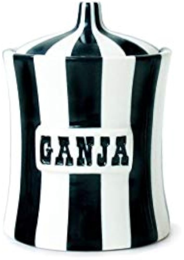 Jonathan Adler Canister | Amazon (US)