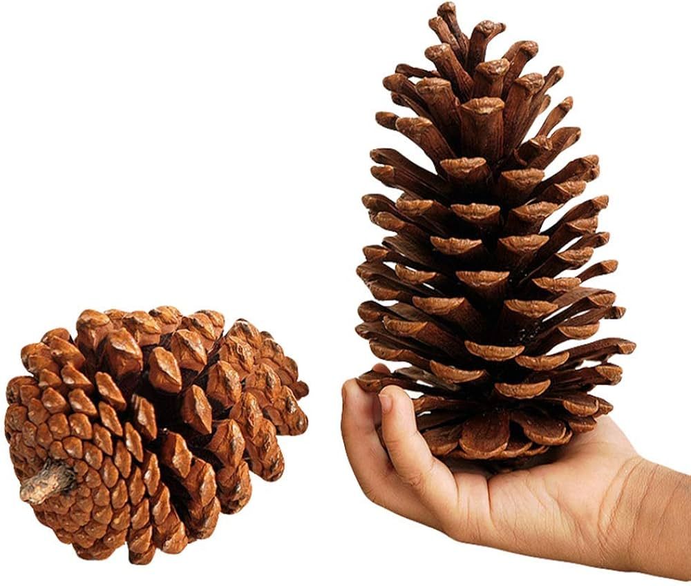 Qingsun 1Pcs Big Premium Tabletop Natural Large Christmas Pine Cones for Holiday Decor Crafts | Amazon (CA)