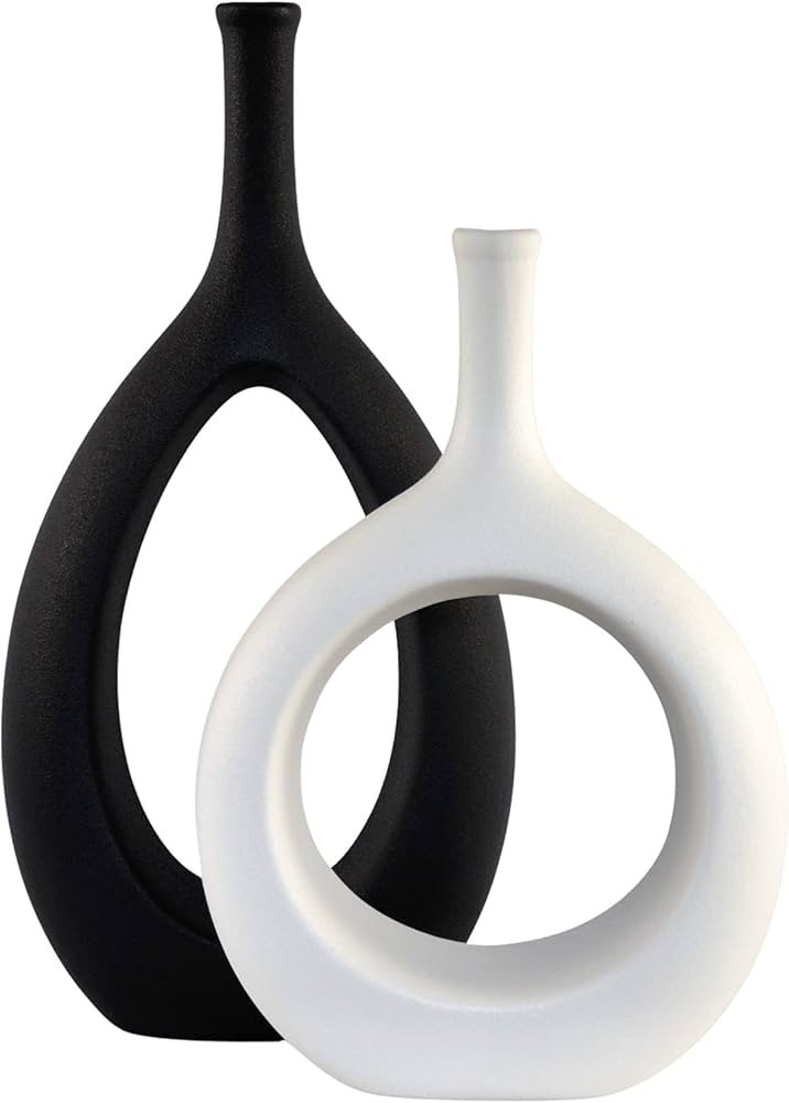 H-Wares Modern Ceramic Vases 2 set. Matte Black Oval and White Circle Vase for Decor. Geometric M... | Amazon (US)