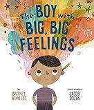 The Boy with Big, Big Feelings (The Big, Big Series, 1)    Hardcover – Picture Book, August 20,... | Amazon (US)