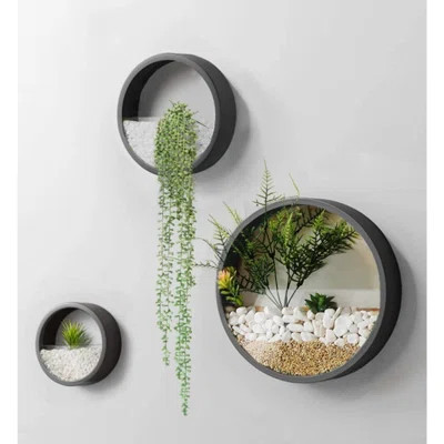 Wall Planter,Round Hanging Wall Vase Planters For Succulents |Flower Pot Wall Planters For Plants,Succulent Plants, Small Cactus And More,Home Wall De | Wayfair North America