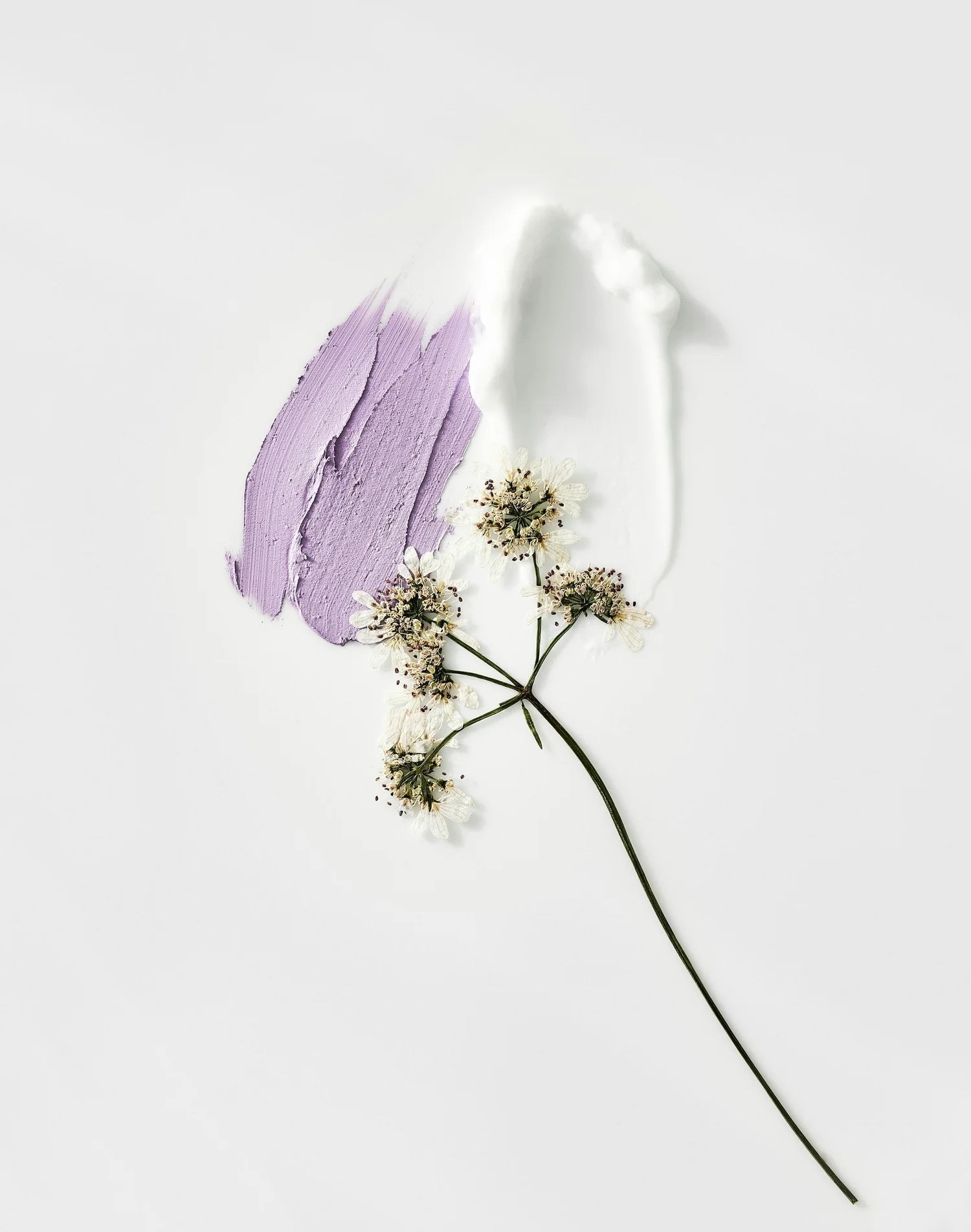 FRIDAY FAVORITES 01/23/25
I've started an exercise to focus on positivity and bring happiness into my life and those around me. I tend to dwell on the negatives, but I'm determined to retrain my brain. So, I am sharing 16 things that have made me happy in a series called "Friday Favorites" to inspire joy in others. See the full post at abigailamira.com

#LTKHome #LTKValentine #LTKSeasonal