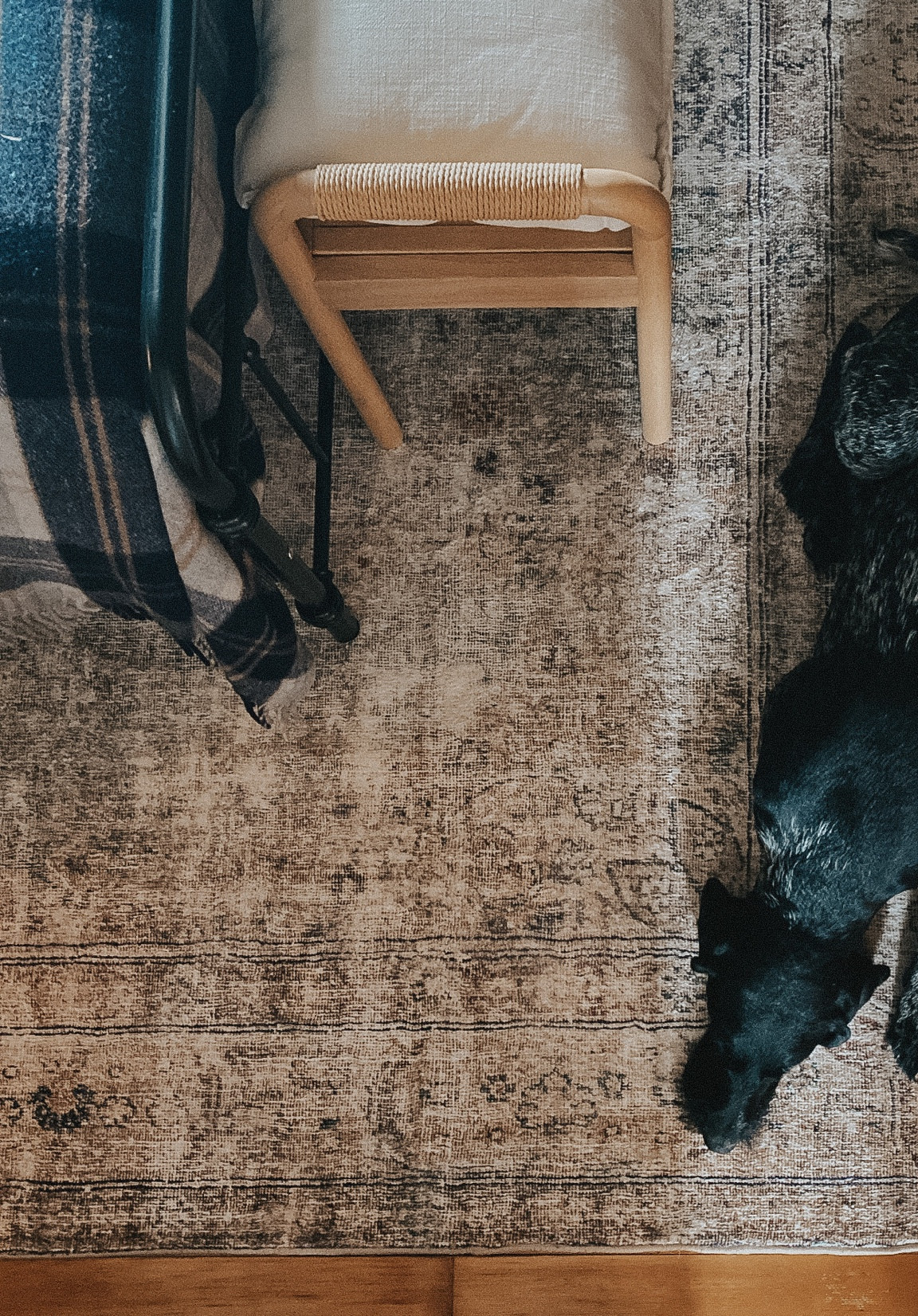 This Loloi rug has the cloud pile technology and is SO SOFT! This rug has beautiful neutral tan, brown, and sage colors. Can go with any style, and look great in a bedroom, living room, or office! 

#accentrug #arearug 

#LTKstyletip #LTKhome #LTKFind