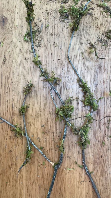 (The easiest) DIY moss branches. All components from Amazon (except for the real branches which are of course free)! 

Home decor, Fall decor, Fall branches, artificial branches

#LTKunder50 #LTKhome #LTKSeasonal