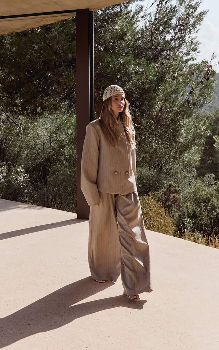 Taupe Pinstripe Pleated Wide Leg Trousers | PrettyLittleThing UK