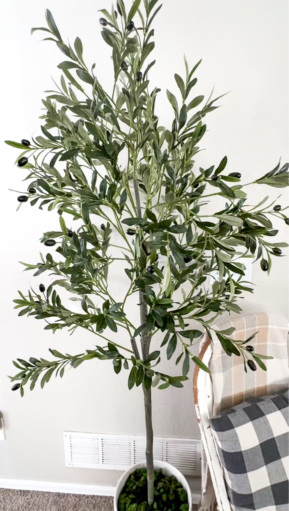 Under $50 --6ft faux olive tree from amazon 





Home decor, living room decor, spring decor, faux indoor plants

#LTKSeasonal #LTKSaleAlert #LTKHome