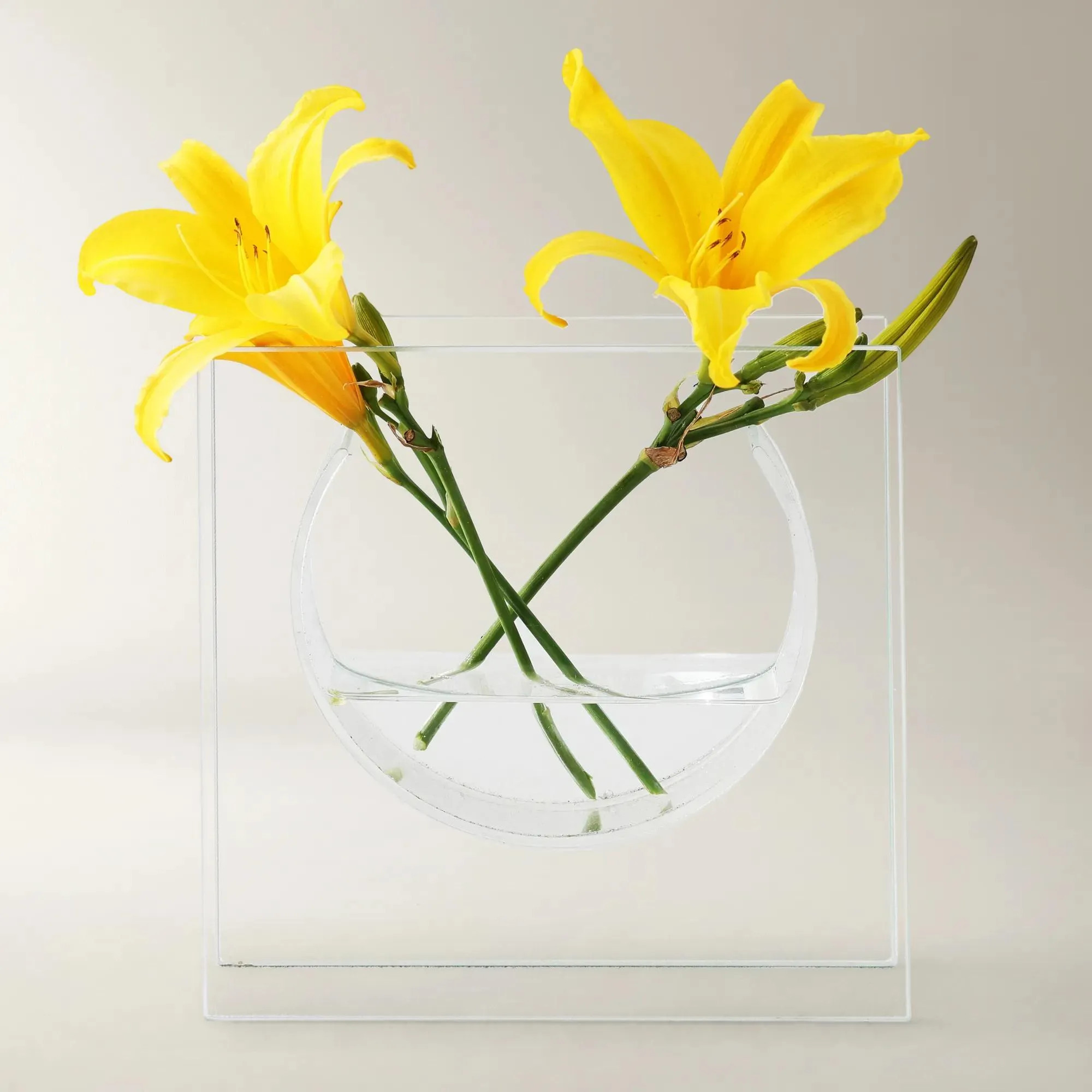 Solaris Vase | Clear | Décor Vase | Z Gallerie | Small: 8"W x 2"D x 8"H | Glass | Z Gallerie