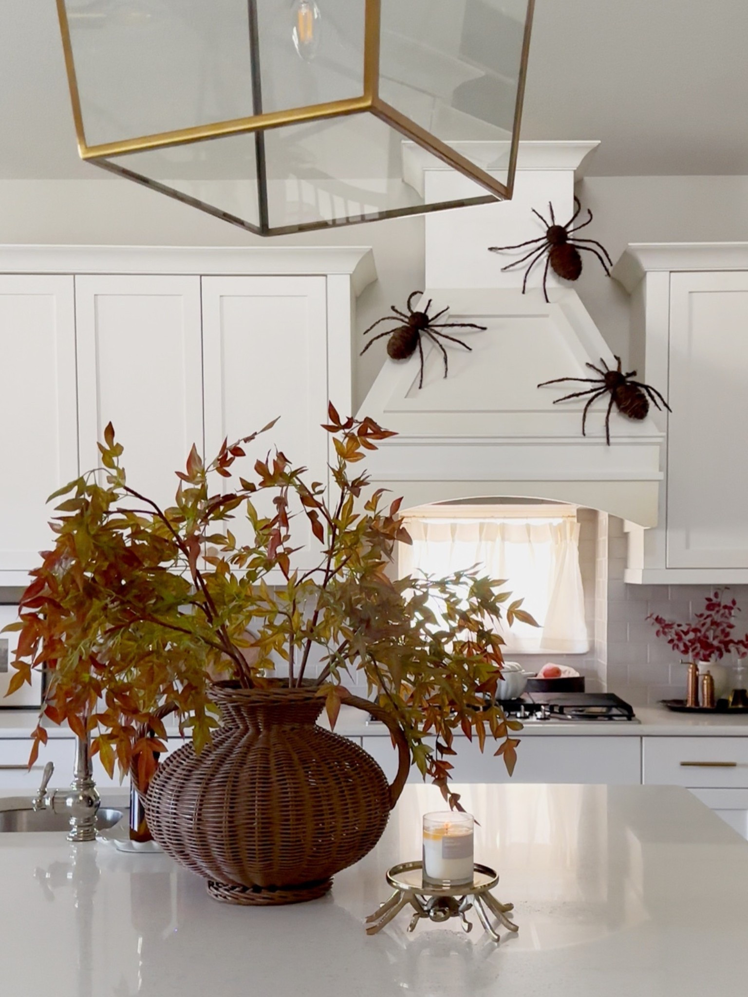 These woven spiders are the perfect mix of creepy + cute for spooky season. 🕷️

#LTKHalloween #LTKHome