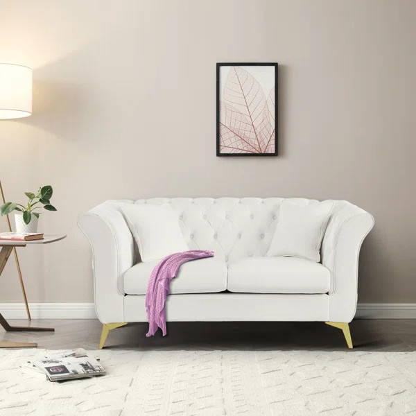 Jeannicole 64.16'' Velvet Loveseat | Wayfair North America
