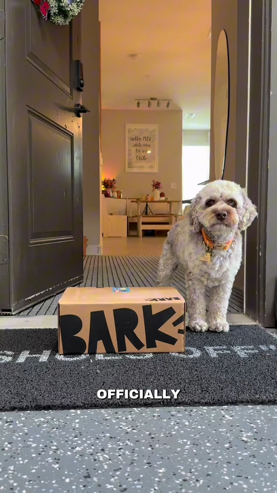 CEO duties start at the doorstep 📦🐾 Theo doesn’t play about his BarkBox—literally. Every toy and treat gets the full inspection before it’s approved for playtime. What’s even cooler? BARK is making dogs more than customers… they’re co-owners. And Theo? He’s already on the board. 

Check out what came in this month’s BarkBox + shop Theo’s exact picks on my LTK! 

@shop.ltk #Ad #BarkPartner #liketkit #dogsoftiktok #barkbox #dogapproved #ltkpet #theoapproved 🔗 Shop the box here!! 