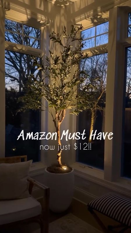 Obsessed with this Amazon home find!! Looks amazing with my favorite faux olive tree that's also from Amazon! The accent light is only $12 and is such a cozy vibe at night!!  ✨
(6/8)

#LTKVideo #LTKStyleTip #LTKHome