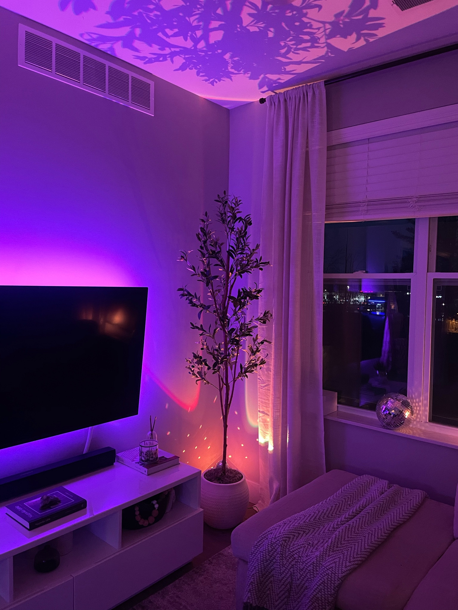 The perfect olive tree 🫒 #ltkhome #ltkvibe #olivetree #homedecor 

#LTKSpringSale