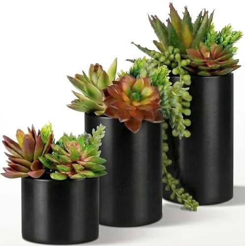 Fake Succulents Plants Artificial in Premium Ceramic Pots (3 Pack Assorted) Realistic Faux Succulents for Bathroom, Home & Office Décor | Amazon (US)