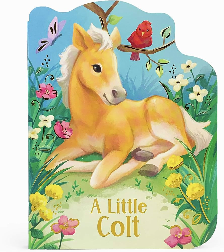 A Little Colt: A Baby Horse Board Book Story | Amazon (US)
