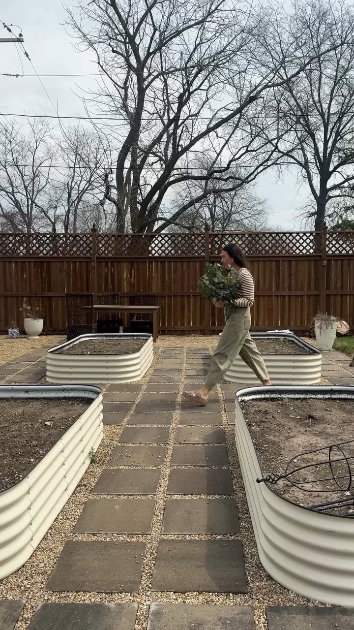 I am truly the least qualified person to be giving houseplant advice… and yet somehow this grape ivy has decided to thrive in spite of me. 🤪

I randomly brought her home from one of my favorite nurseries two years ago and against all odds, she is still alive…not only alive, but absolutely thriving.

In true “terrible plant parent” fashion, I’ve kept her in the same pot this entire time, never changed the soil, never added plant food, and honestly only remember to deeply water her about once a month. 😬 Somehow she has quadrupled in size anyway.

So when I spotted this pot at HomeGoods that was more than twice the size of her old one, I figured she had at least earned an upgrade. I repotted her with indoor potting soil from Miracle-Gro and she is absolutely loving her new little home.

Also my hubby knows my love language 😎 a fresh, cold Poppi is my hearts medicine these days!☺️

If you too have plants that survive purely on vibes and neglect…welcome, you’re among friends. 🌿

#HouseplantHumor #IndoorPlantLife #GrapeIvy #HomeGoodsFind #PlantParentProblems