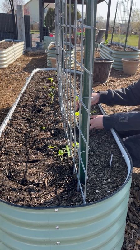 Planting this 9 in 1 Vego raised bed with cucumbers 🥒 

#LTKSeasonal