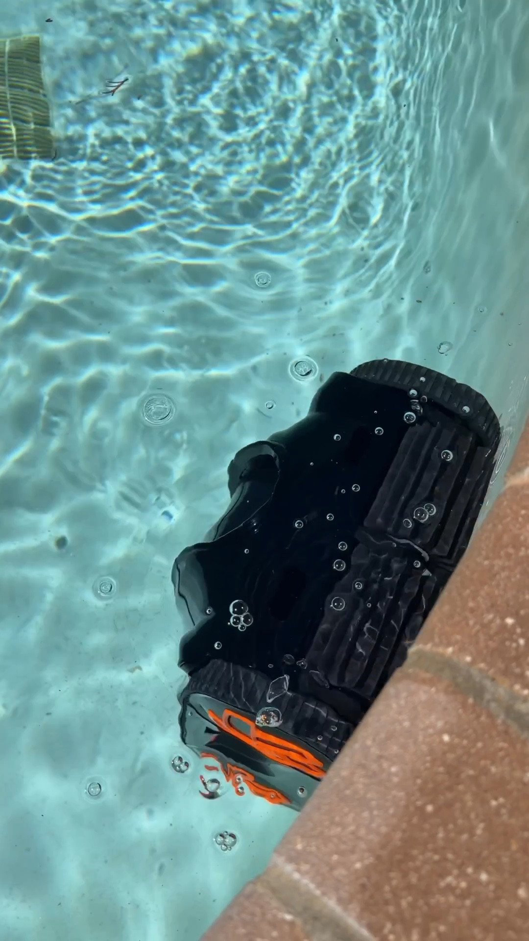 The robot pool cleaner! 