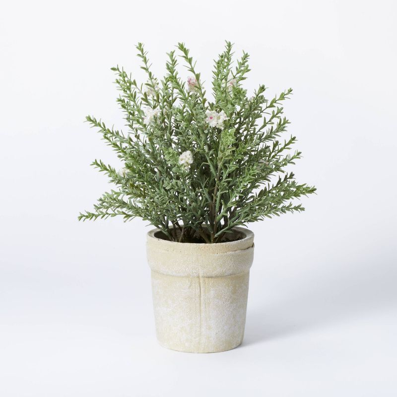 Flowering Thyme Potted - Threshold™ designed with Studio McGee | Target