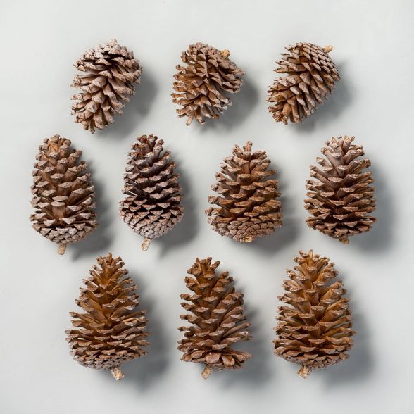 10pc Bleached Pinecone Set - Hearth & Hand™ with Magnolia | Target