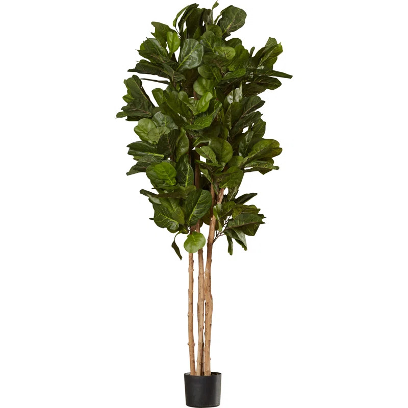 Leaf Floor Foliage Tree in Pot | Wayfair North America