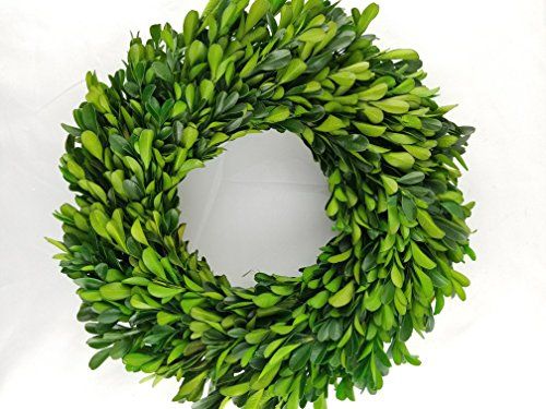 Preserved Boxwood Wreath 12 in by Tradingsmith | Amazon (US)