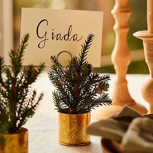 Faux Potted Pine Place Card Holders, Set of 4 | Terrain