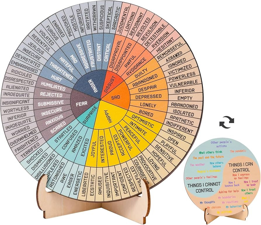 Feelings Wheel Therapy Office Desk Decor - Double Sided Mental Health Office Emotions Chart with ... | Amazon (US)