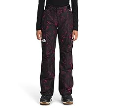 The North Face Women's Freedom Insulated Snow Pant | Amazon (US)