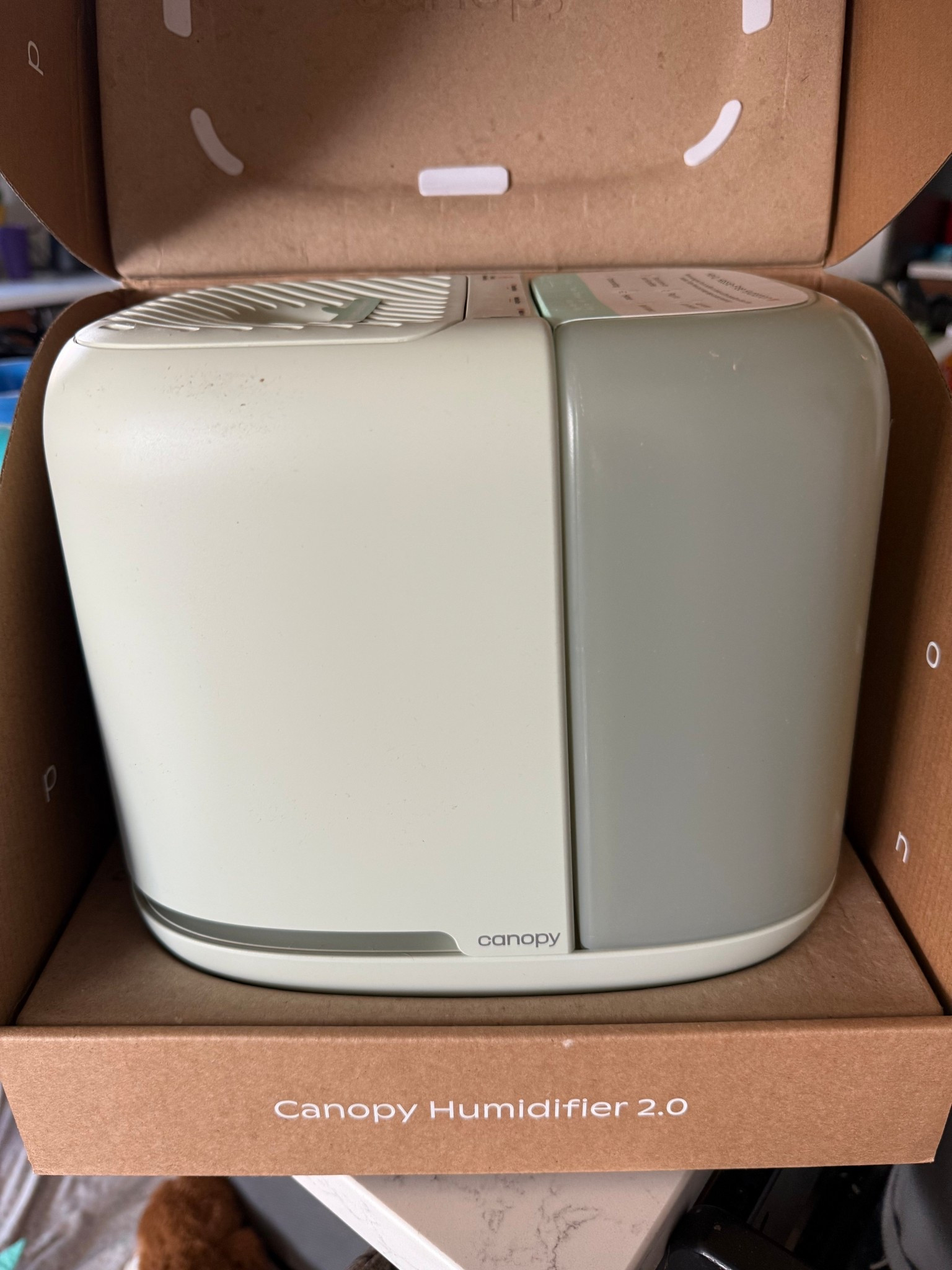 The Canopy Humidifier 2.0 in Jade is the cleanest way to humidify your home. No mist, no mold. It runs until the water is gone so there's never stagnant water sitting in the tank. It also uses a powerful filter system you won’t find in other humidifiers and the limited-edition jade color is such a pretty touch. A must-have for skin, sleep, and clean air. #CanopyHumidifier #MoldFreeHumidifier #CleanAir #NoMistHumidifier #HomeUpgrades



#LTKHome #LTKFamily