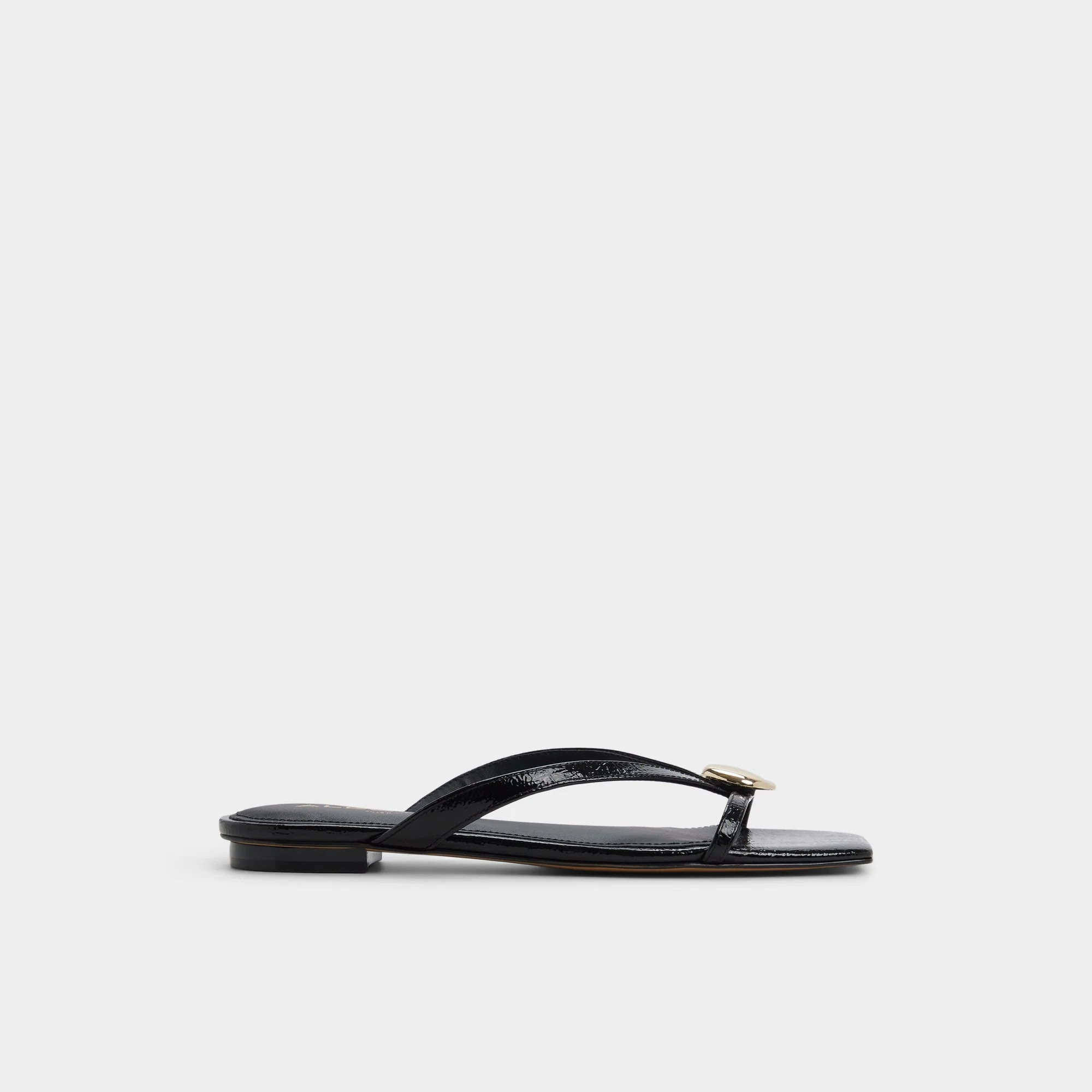 Iliria Black Women's Flats | Aldo Shoes (US)
