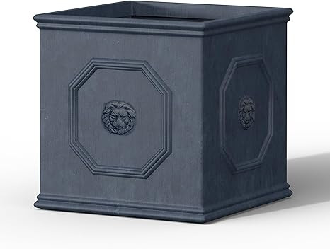 Kante Square Lion Head Concrete Planter, Classic English Style Plant Pot with Drainage Hole and R... | Amazon (US)