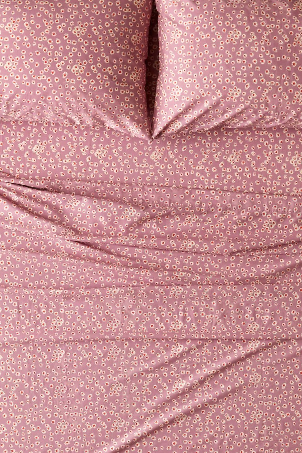 You May Also Like

              
            Butterfly Sheet Set
            
                Qu... | Urban Outfitters (US and RoW)