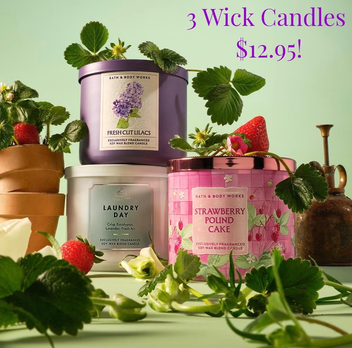 Bath & Body Works has their infamous 3 Wick Candles down to only $12.95 today, with code GETCANDLES! Some of my favorite new scents - Shoreline Hydrangea, Warm Summer Evening & Strawberry Peach Sunset ☀️ So many excellent options to choose from, including some brand new Mother’s Day options! 🕯️

#LTKHome #LTKMothersDay #LTKSaleAlert