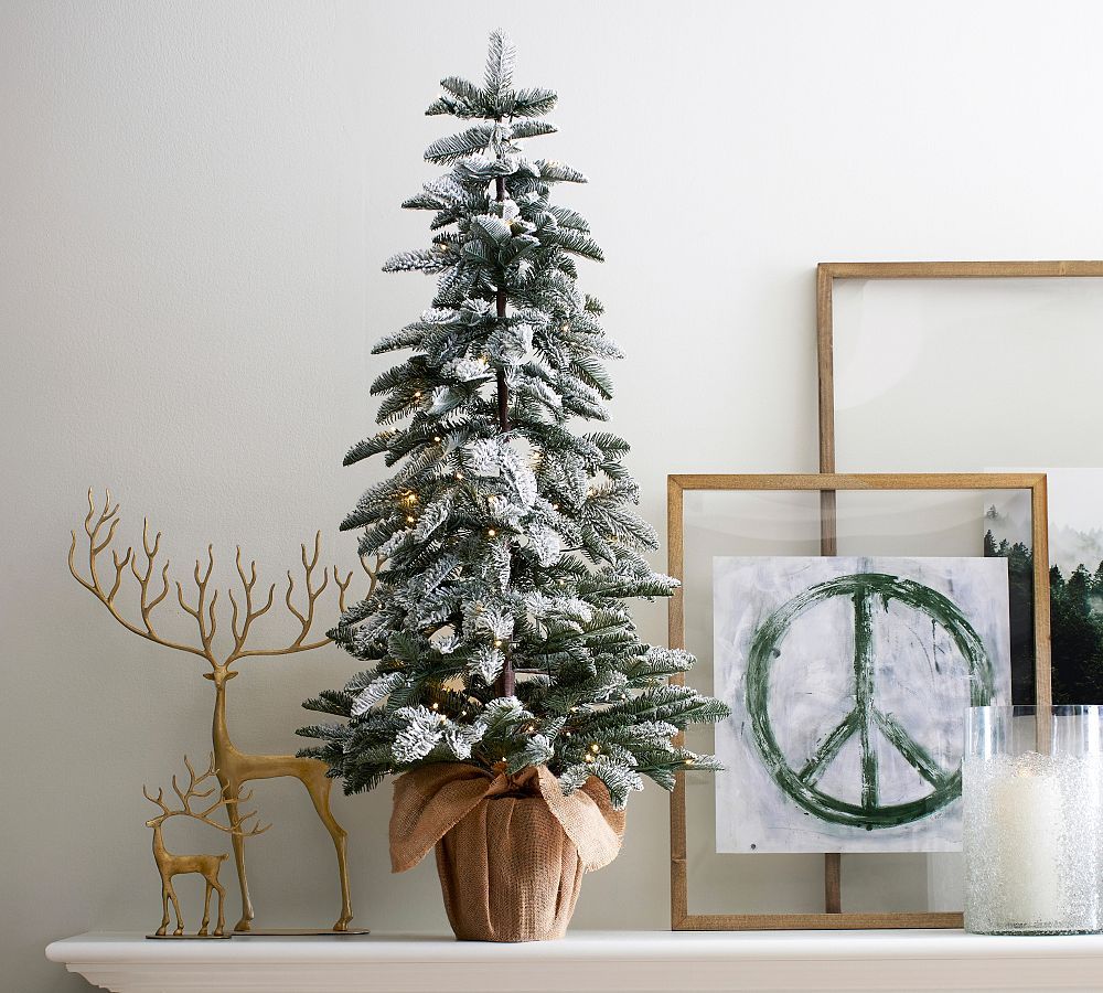 Lit Frosted Faux Pine Trees | Pottery Barn (US)