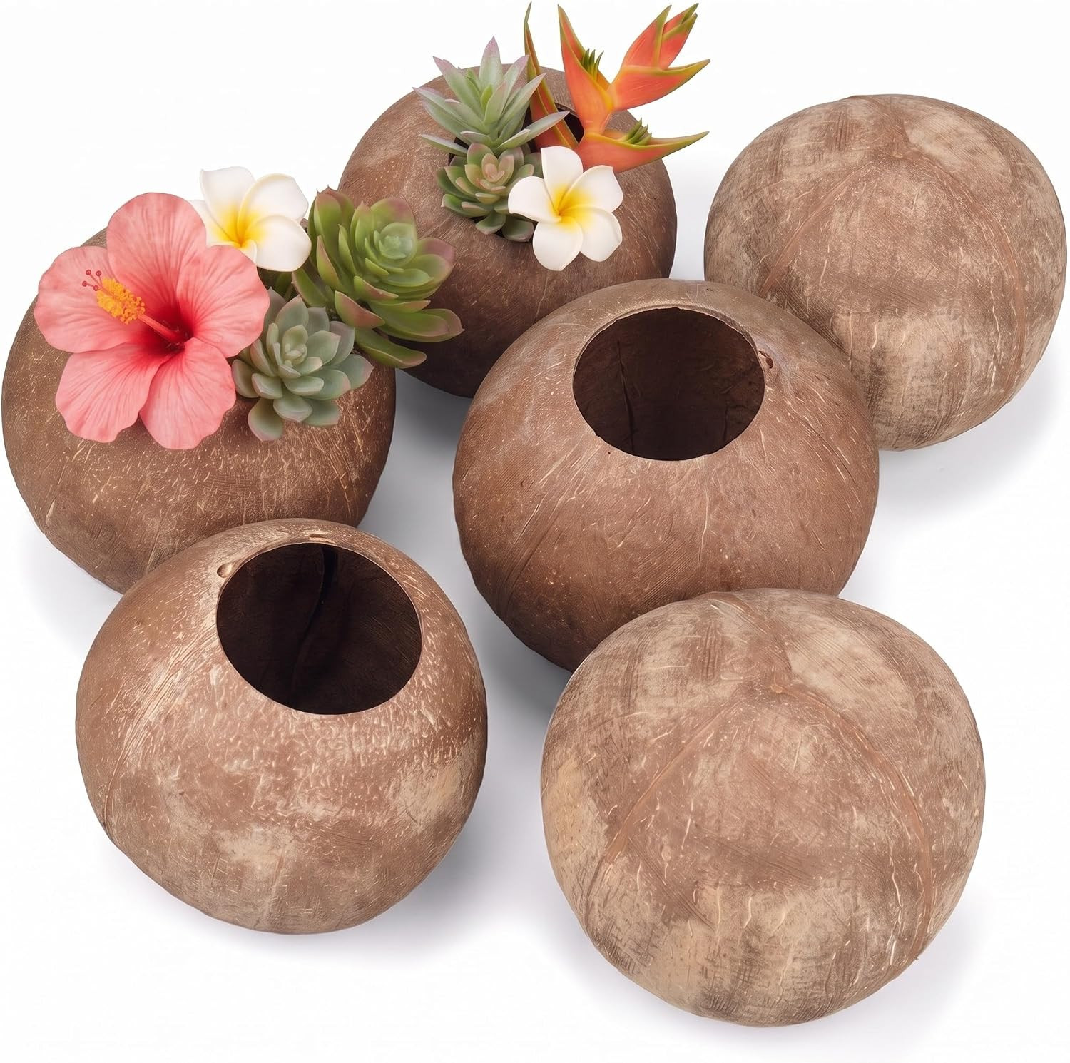 LemonRoad 6 Pcs Natural Coconut Shell Coconut Bowls for DIY, Without Fiber | Amazon (US)