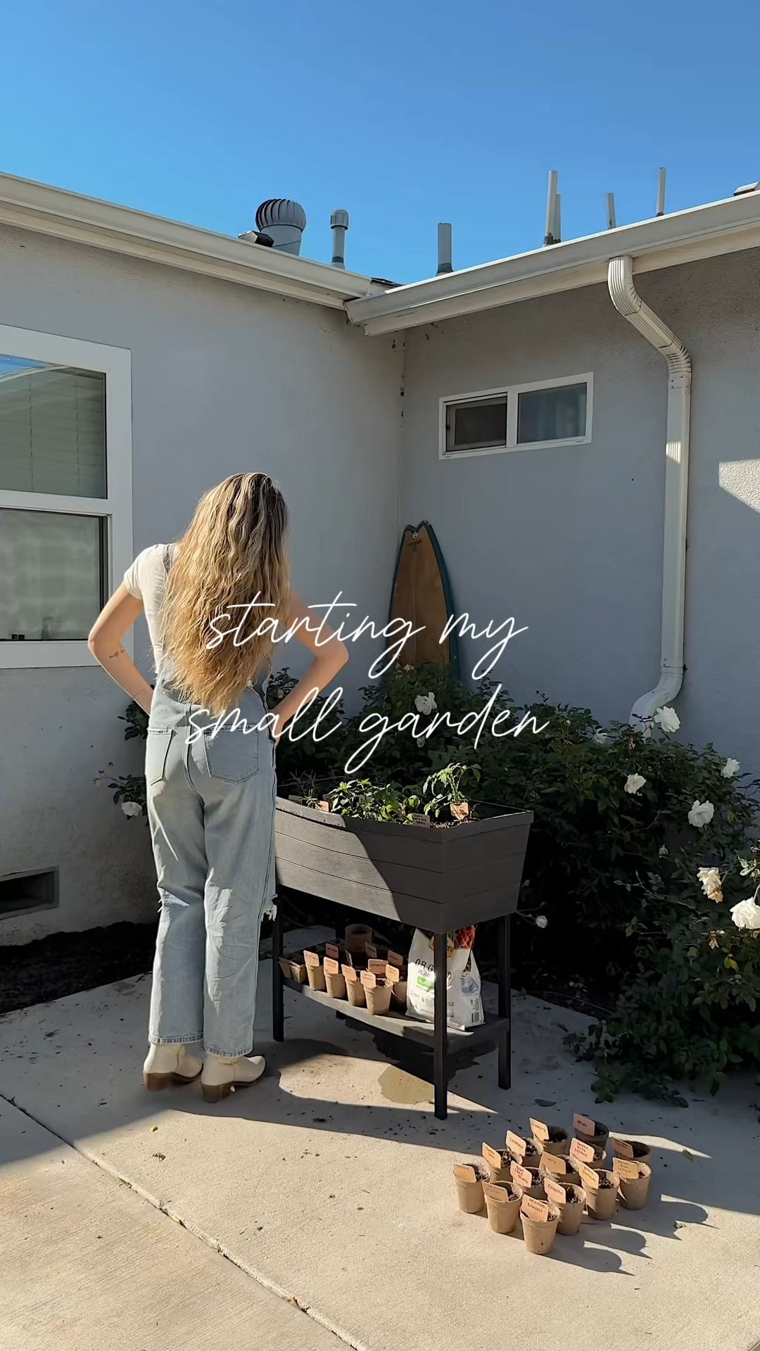 starting my small garden in my backyard in LA - this is an easy way to grow your own veggies in a renter friendly way! Linking all the things you need to start here - minus the live plants obviously! 🤍🌱

#LTKSeasonal #LTKHome #LTKWatchNow