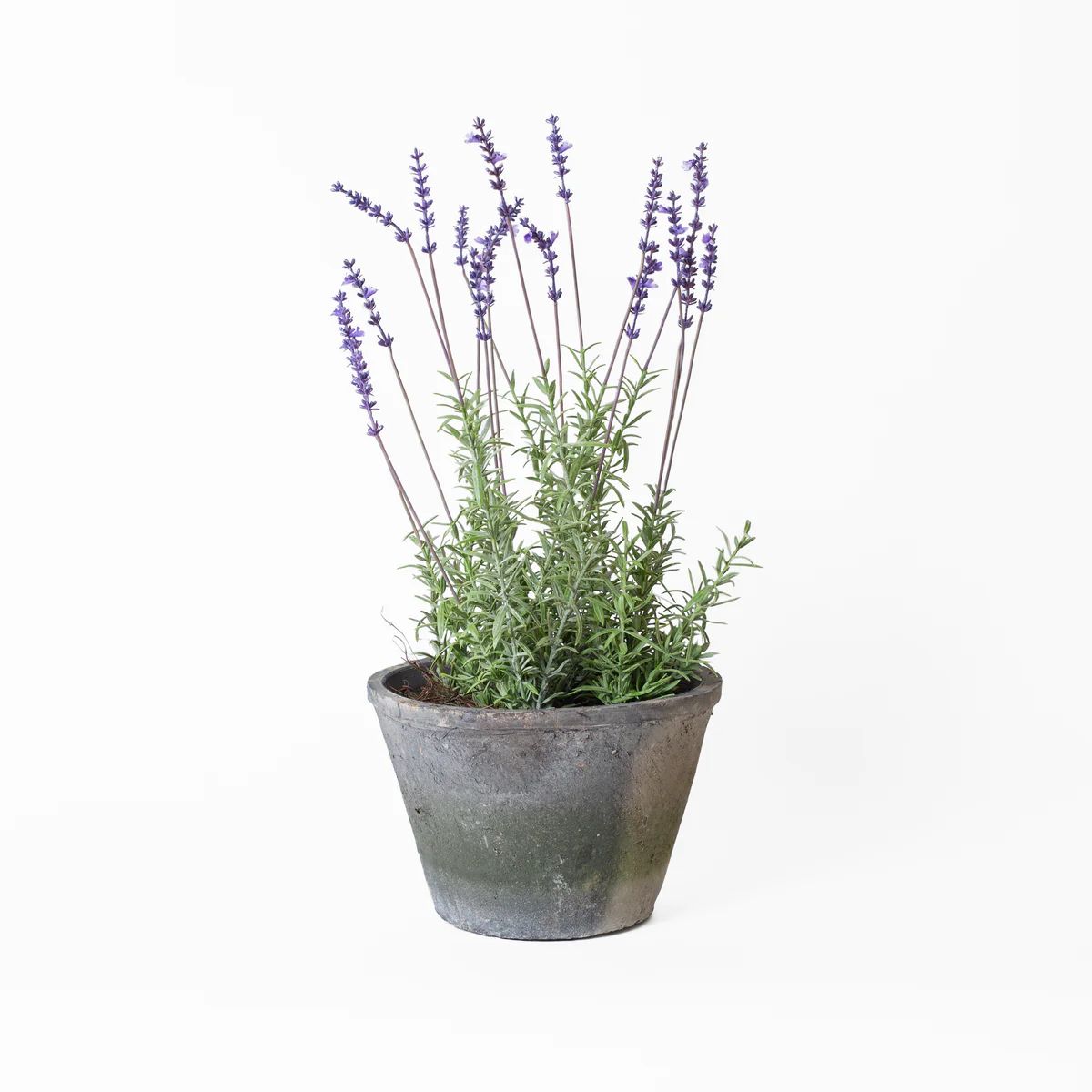 Faux French Lavender | Stoffer Home