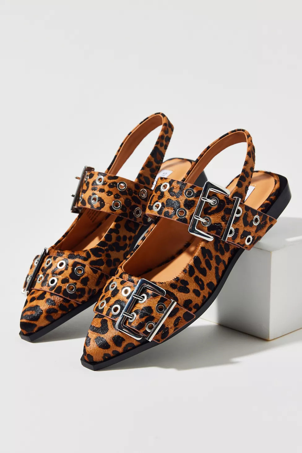 Steve Madden Graya Leopard Print Calf Hair Buckle Flat | Urban Outfitters (US and RoW)