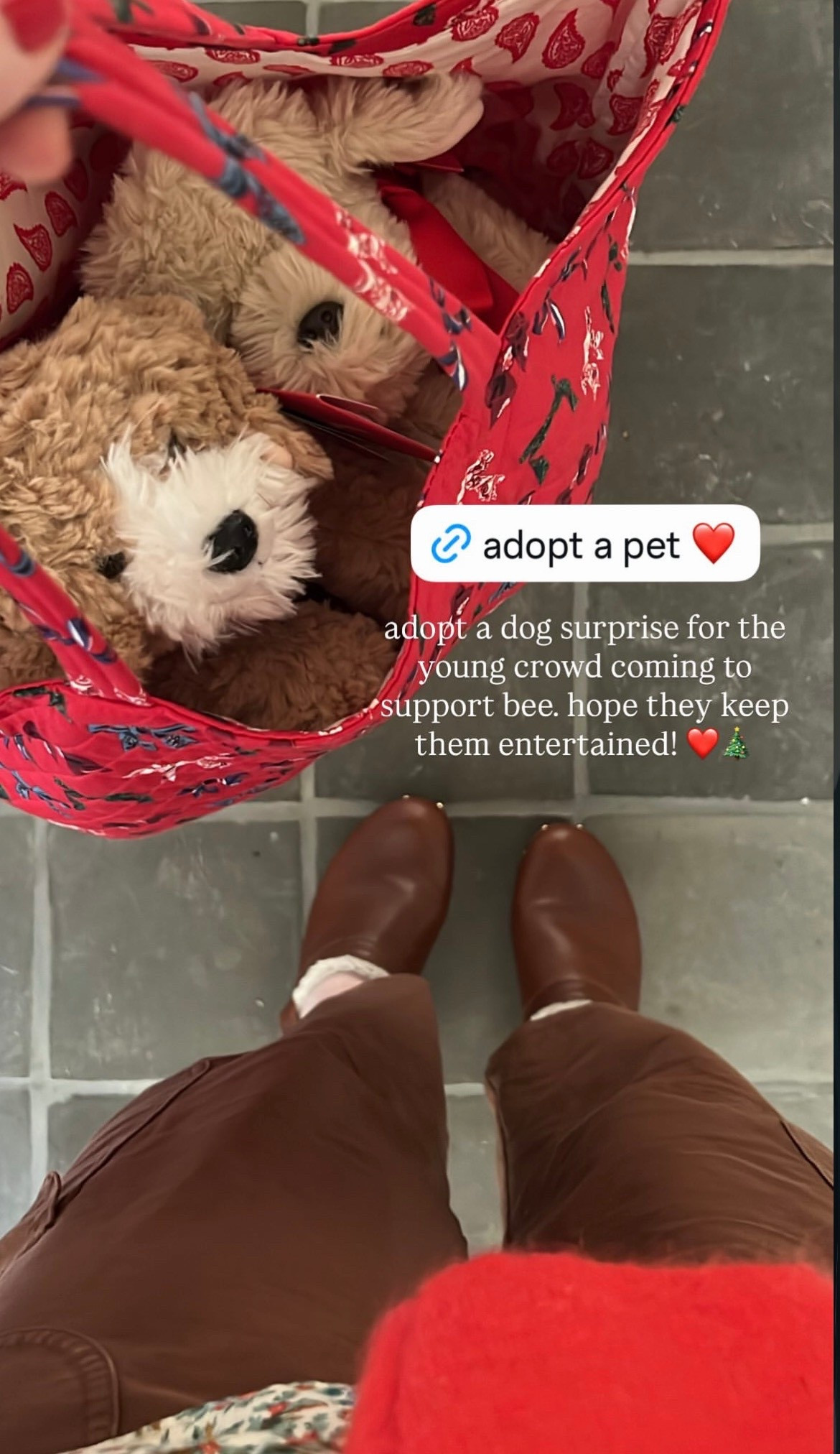 cutest adopt a dogs!