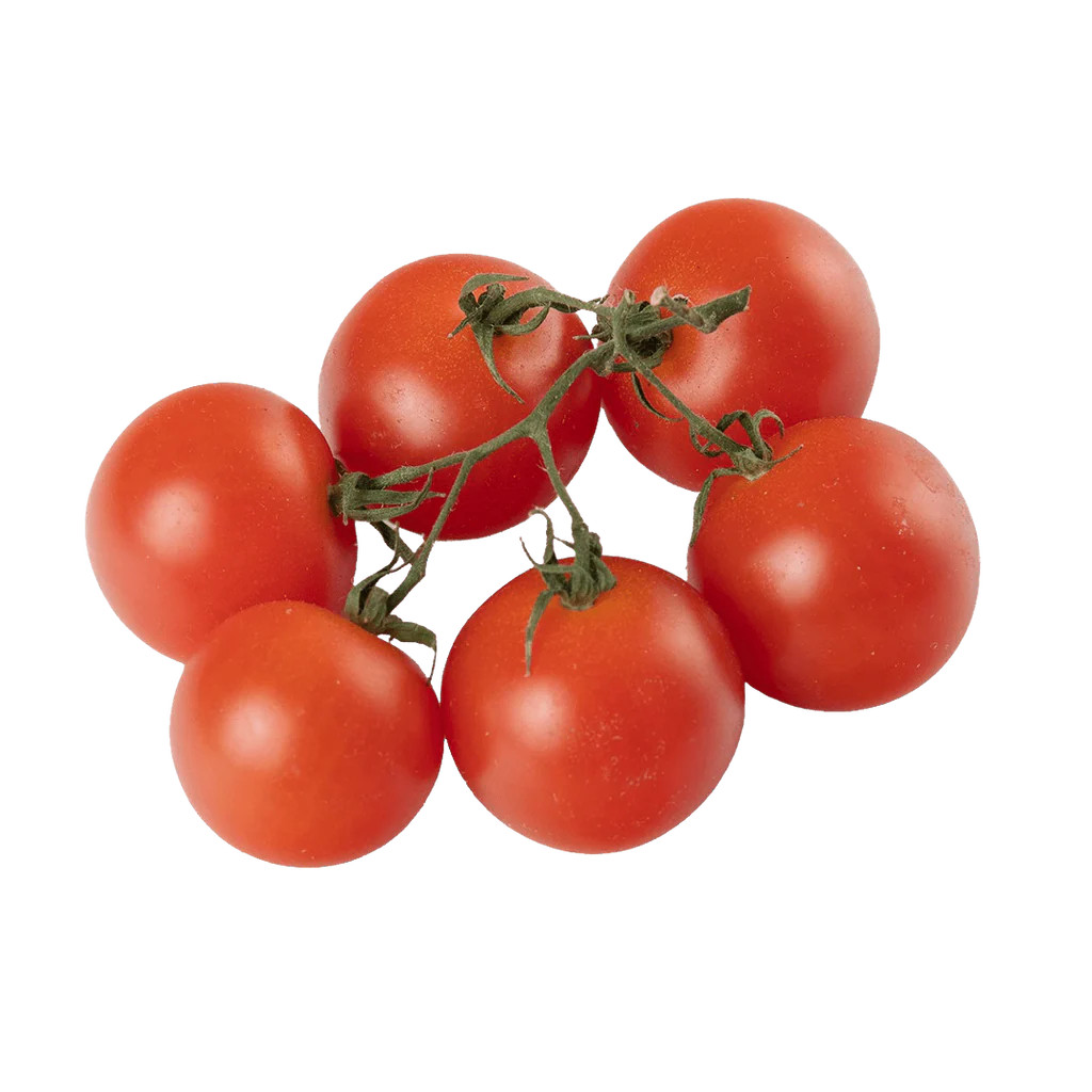 Cherry Tomato | Lettuce Grow