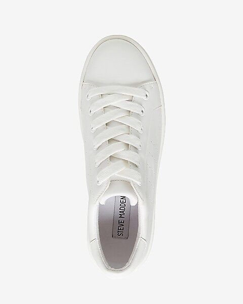 Steve Madden Blade Sneakers | Express