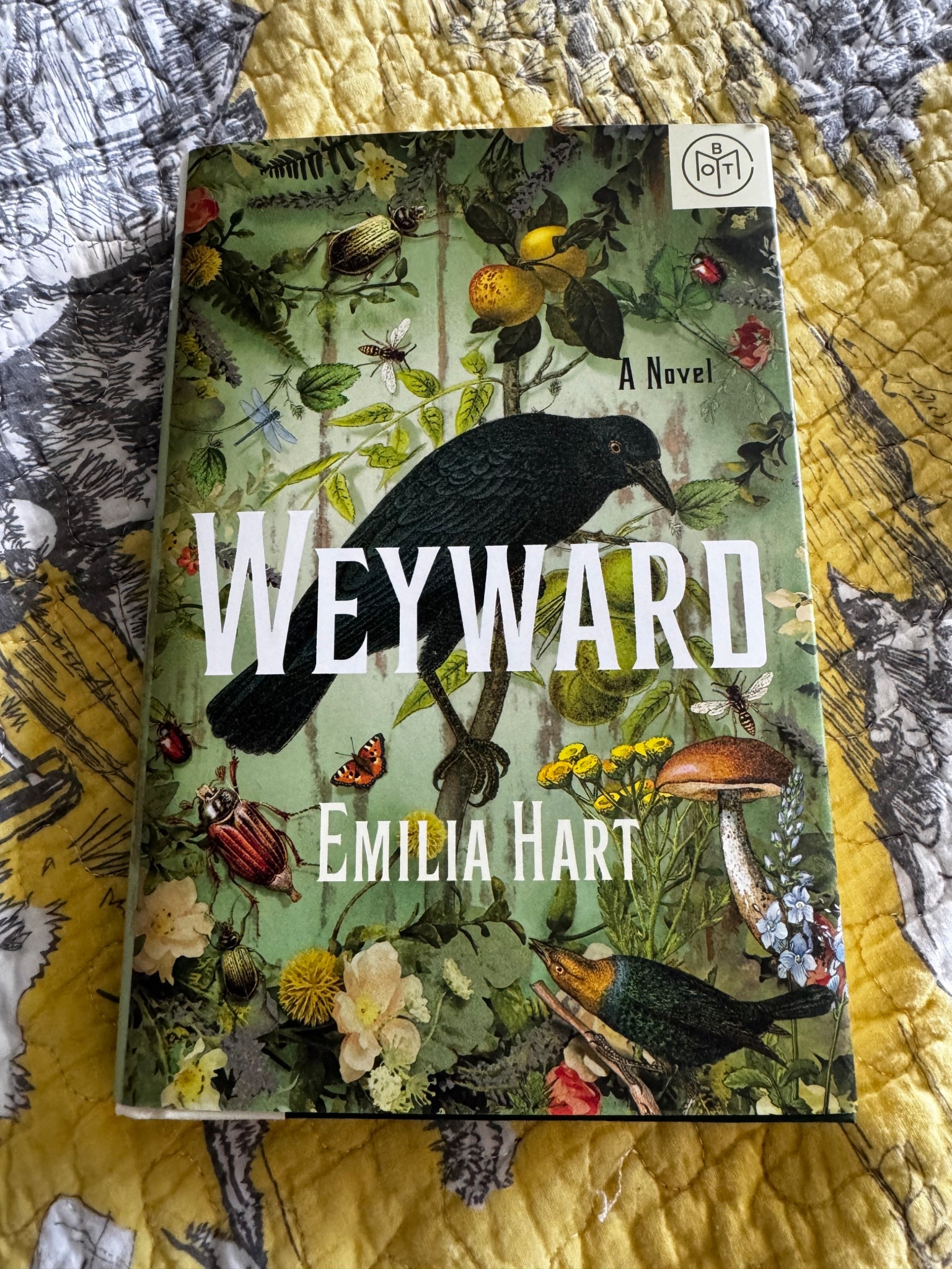 I’ve had a lot of trouble with finding a book to keep my attention but this one, which tells the story of three women in the same family connected across centuries, grabbed me right away! #currentlyreading #womenwhoread #witchyreads #fallreads #spookyseason

#LTKSeasonal #LTKFindsUnder50