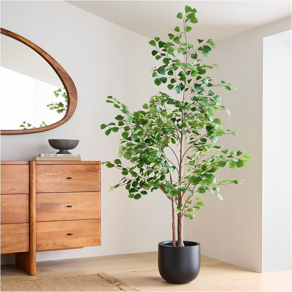 Faux Potted Ficus Tree | West Elm (US)